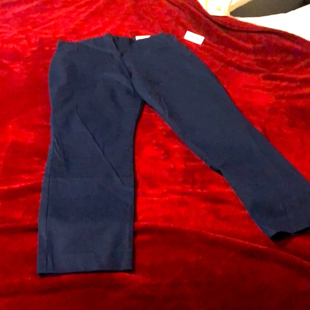 Brand new blue dress pants